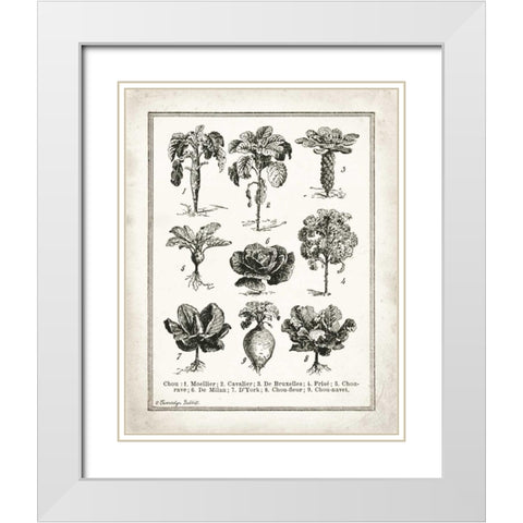 French Cabbage White Modern Wood Framed Art Print with Double Matting by Babbitt, Gwendolyn