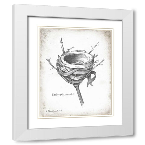 French Bird Nest I White Modern Wood Framed Art Print with Double Matting by Babbitt, Gwendolyn
