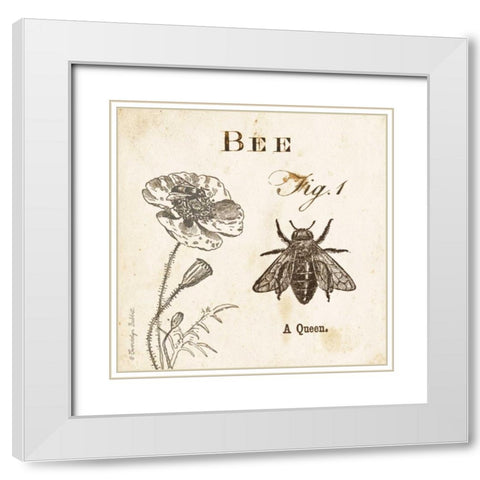 Bee Fig 1 White Modern Wood Framed Art Print with Double Matting by Babbitt, Gwendolyn