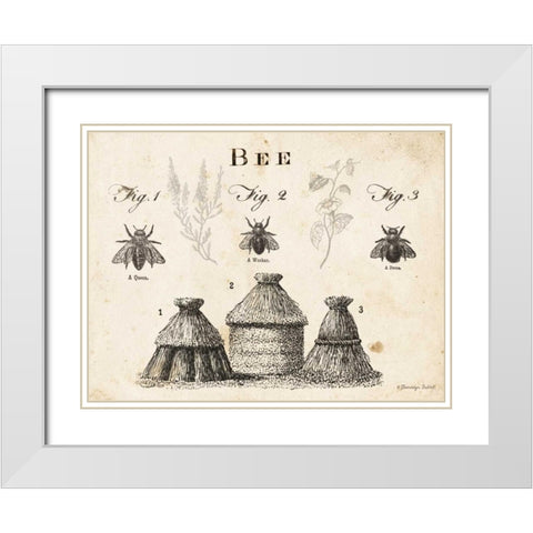 Bee Chart I White Modern Wood Framed Art Print with Double Matting by Babbitt, Gwendolyn