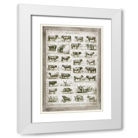 French Cow Chart White Modern Wood Framed Art Print with Double Matting by Babbitt, Gwendolyn