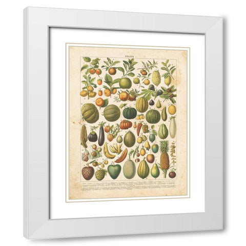 French Fruit Chart White Modern Wood Framed Art Print with Double Matting by Babbitt, Gwendolyn