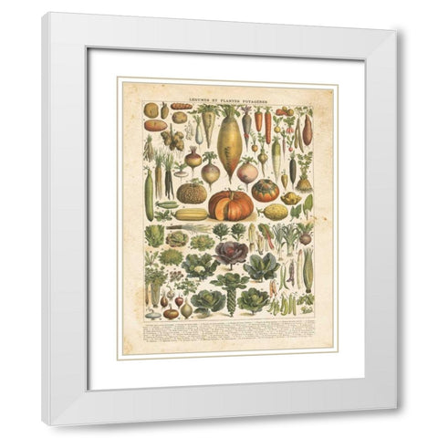 French Vegetable Chart White Modern Wood Framed Art Print with Double Matting by Babbitt, Gwendolyn