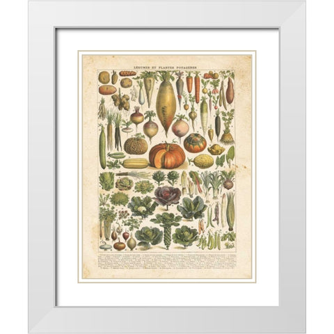 French Vegetable Chart White Modern Wood Framed Art Print with Double Matting by Babbitt, Gwendolyn