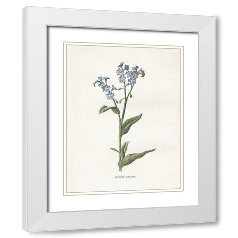 Forget me Not White Modern Wood Framed Art Print with Double Matting by Babbitt, Gwendolyn