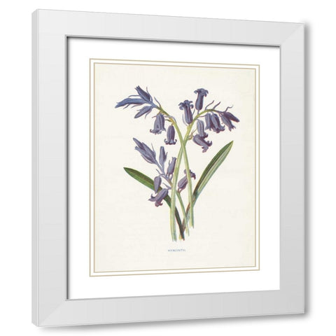 Hyacinth White Modern Wood Framed Art Print with Double Matting by Babbitt, Gwendolyn