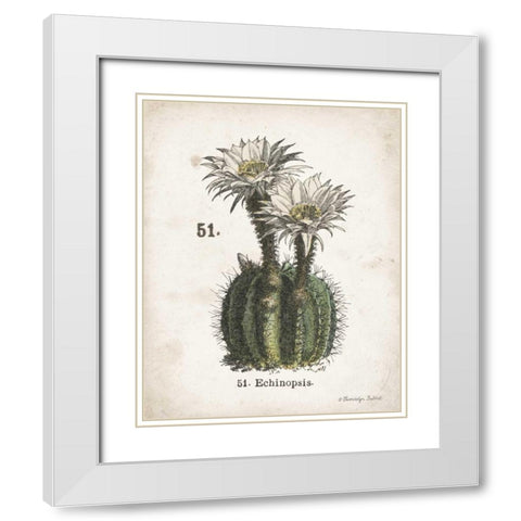 Cacti IV White Modern Wood Framed Art Print with Double Matting by Babbitt, Gwendolyn