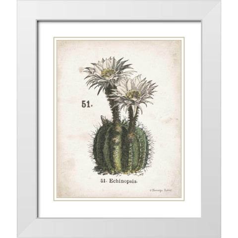 Cacti IV White Modern Wood Framed Art Print with Double Matting by Babbitt, Gwendolyn