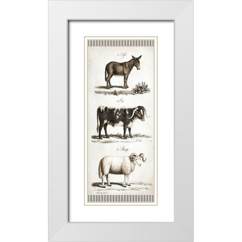 Burro, Cow, Sheep White Modern Wood Framed Art Print with Double Matting by Babbitt, Gwendolyn