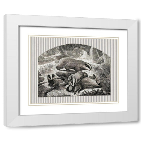 Badger Mom and Cubs White Modern Wood Framed Art Print with Double Matting by Babbitt, Gwendolyn