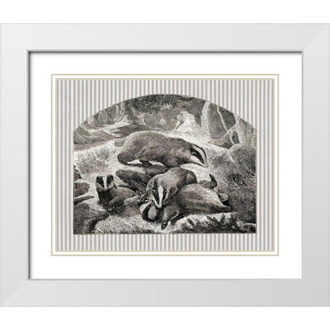 Badger Mom and Cubs White Modern Wood Framed Art Print with Double Matting by Babbitt, Gwendolyn