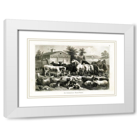 1800s Farm Animal Chart White Modern Wood Framed Art Print with Double Matting by Babbitt, Gwendolyn