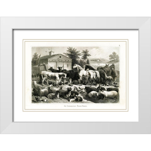 1800s Farm Animal Chart White Modern Wood Framed Art Print with Double Matting by Babbitt, Gwendolyn