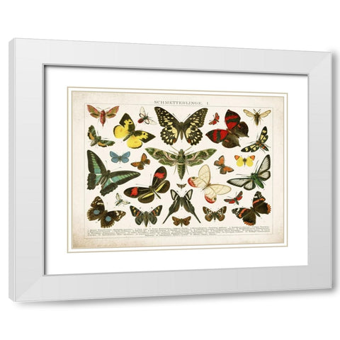 Butterfly Chart White Modern Wood Framed Art Print with Double Matting by Babbitt, Gwendolyn