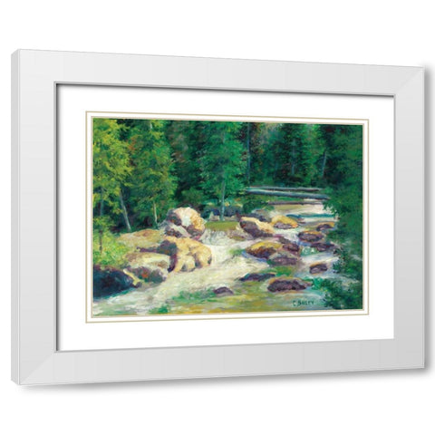 Cascading Stream White Modern Wood Framed Art Print with Double Matting by Bailey, Carol