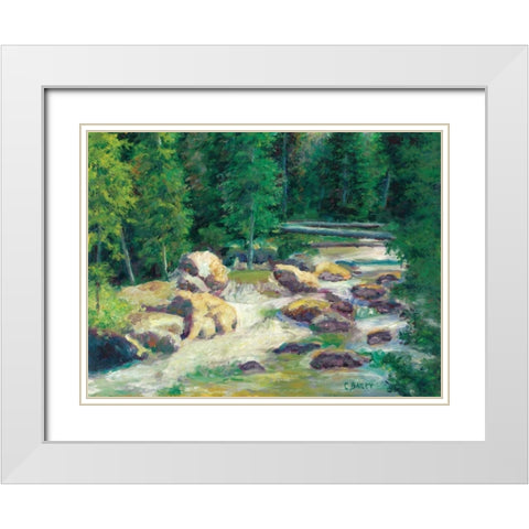 Cascading Stream White Modern Wood Framed Art Print with Double Matting by Bailey, Carol