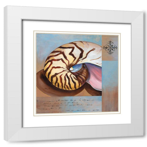 Sanibel Nautilus White Modern Wood Framed Art Print with Double Matting by Brent, Paul