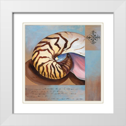 Sanibel Nautilus White Modern Wood Framed Art Print with Double Matting by Brent, Paul
