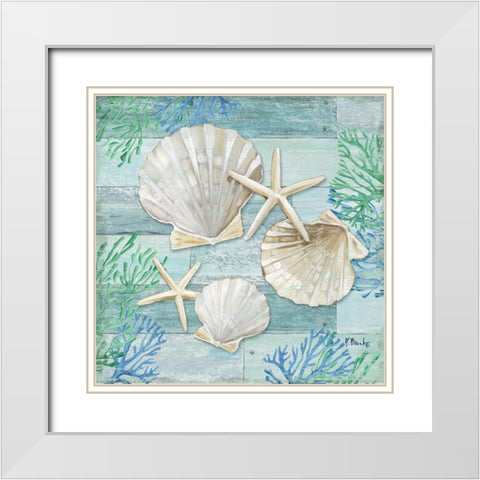 Clearwater Shells IV White Modern Wood Framed Art Print with Double Matting by Brent, Paul