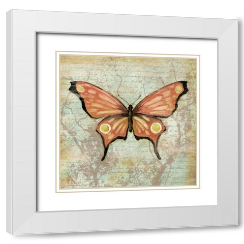 Vintage Butterflies I White Modern Wood Framed Art Print with Double Matting by Brent, Paul