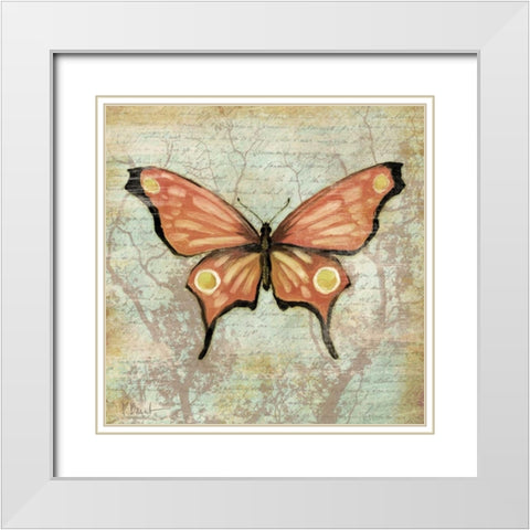 Vintage Butterflies I White Modern Wood Framed Art Print with Double Matting by Brent, Paul
