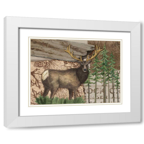 Alpine Collage II White Modern Wood Framed Art Print with Double Matting by Brent, Paul