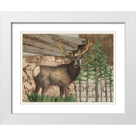 Alpine Collage II White Modern Wood Framed Art Print with Double Matting by Brent, Paul