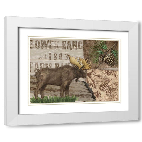 Alpine Collage III White Modern Wood Framed Art Print with Double Matting by Brent, Paul