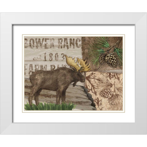 Alpine Collage III White Modern Wood Framed Art Print with Double Matting by Brent, Paul