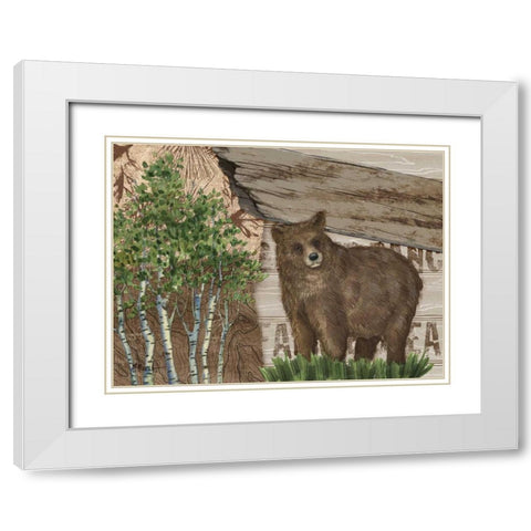 Alpine Collage IV White Modern Wood Framed Art Print with Double Matting by Brent, Paul