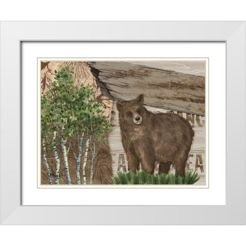 Alpine Collage IV White Modern Wood Framed Art Print with Double Matting by Brent, Paul