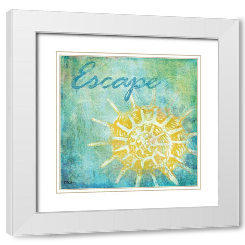Caribbean Shells II White Modern Wood Framed Art Print with Double Matting by Brent, Paul
