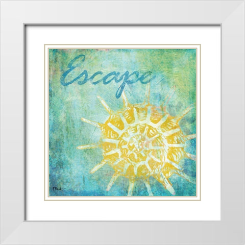 Caribbean Shells II White Modern Wood Framed Art Print with Double Matting by Brent, Paul