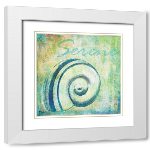 Caribbean Shells III White Modern Wood Framed Art Print with Double Matting by Brent, Paul