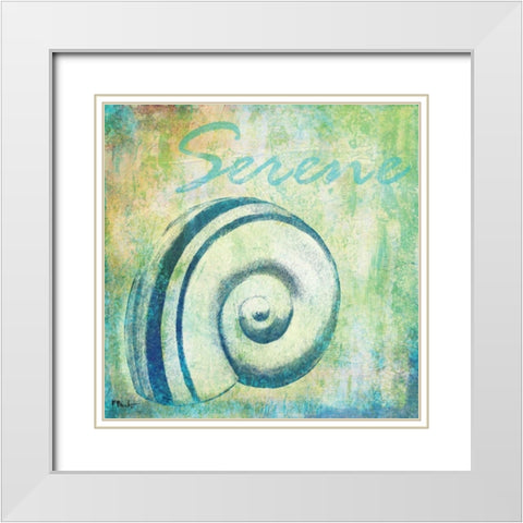 Caribbean Shells III White Modern Wood Framed Art Print with Double Matting by Brent, Paul