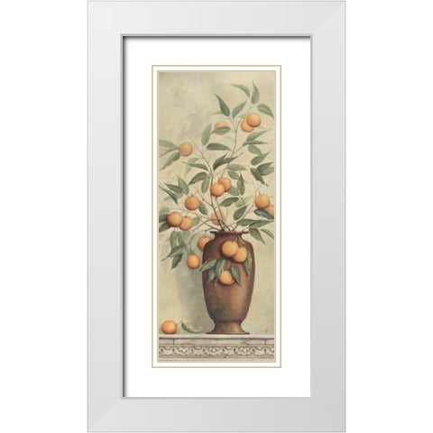 Apricotier White Modern Wood Framed Art Print with Double Matting by Brissonnet, Daphne