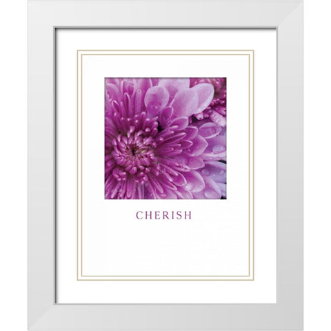 Cherish White Modern Wood Framed Art Print with Double Matting by Berzel, Erin