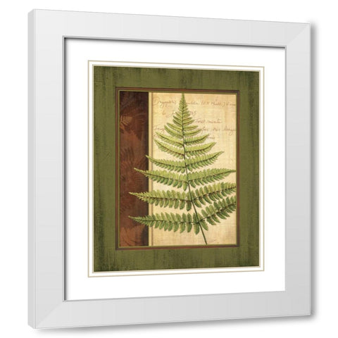 Fern Grotto I White Modern Wood Framed Art Print with Double Matting by Corbin, Delphine