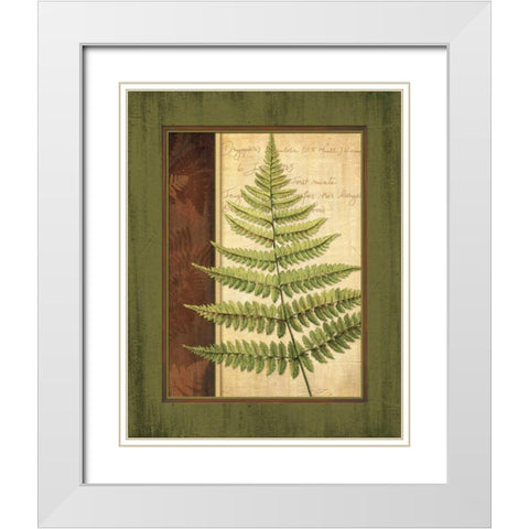Fern Grotto I White Modern Wood Framed Art Print with Double Matting by Corbin, Delphine