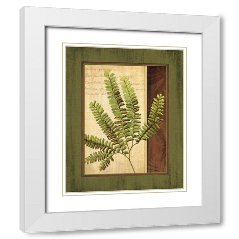 Fern Grotto II White Modern Wood Framed Art Print with Double Matting by Corbin, Delphine