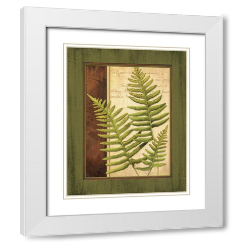 Fern Grotto III White Modern Wood Framed Art Print with Double Matting by Corbin, Delphine