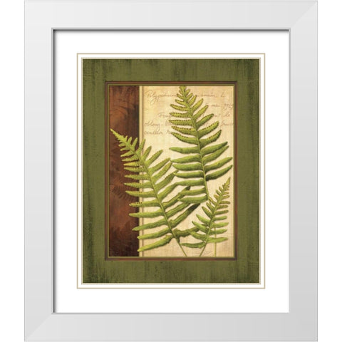 Fern Grotto III White Modern Wood Framed Art Print with Double Matting by Corbin, Delphine