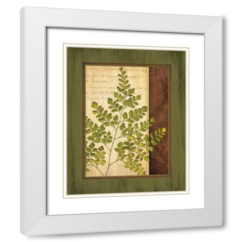 Fern Grotto IV White Modern Wood Framed Art Print with Double Matting by Corbin, Delphine