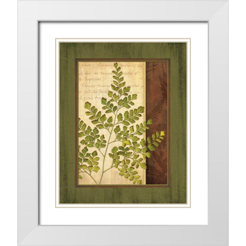 Fern Grotto IV White Modern Wood Framed Art Print with Double Matting by Corbin, Delphine