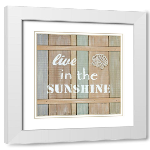 Driftwood Signs III White Modern Wood Framed Art Print with Double Matting by Davis, Paige