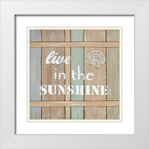 Driftwood Signs III White Modern Wood Framed Art Print with Double Matting by Davis, Paige