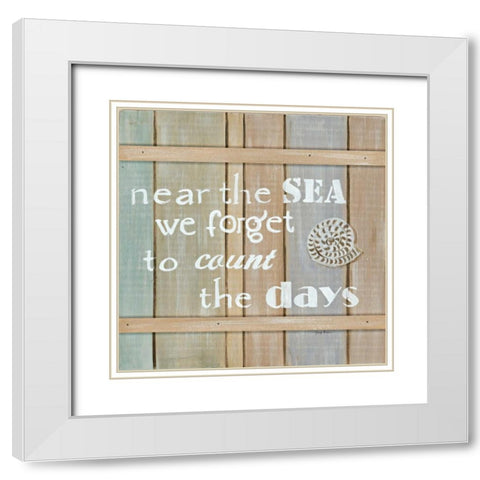 Driftwood Signs IV White Modern Wood Framed Art Print with Double Matting by Davis, Paige