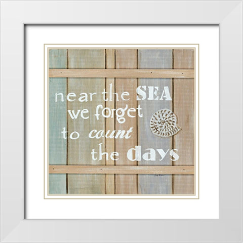 Driftwood Signs IV White Modern Wood Framed Art Print with Double Matting by Davis, Paige