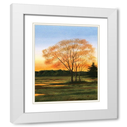 Marsh at Dusk II White Modern Wood Framed Art Print with Double Matting by Duke, William