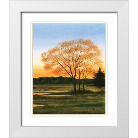 Marsh at Dusk II White Modern Wood Framed Art Print with Double Matting by Duke, William